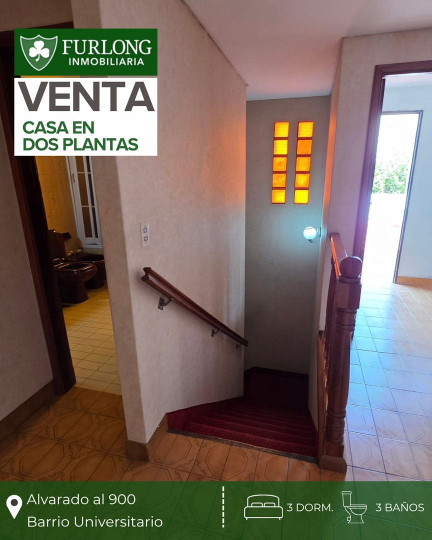 Casa en Venta en Alvarado 990, Universitario, Bahía Blanca - Bahía Blanca Propiedades | SITIO OFICIAL l