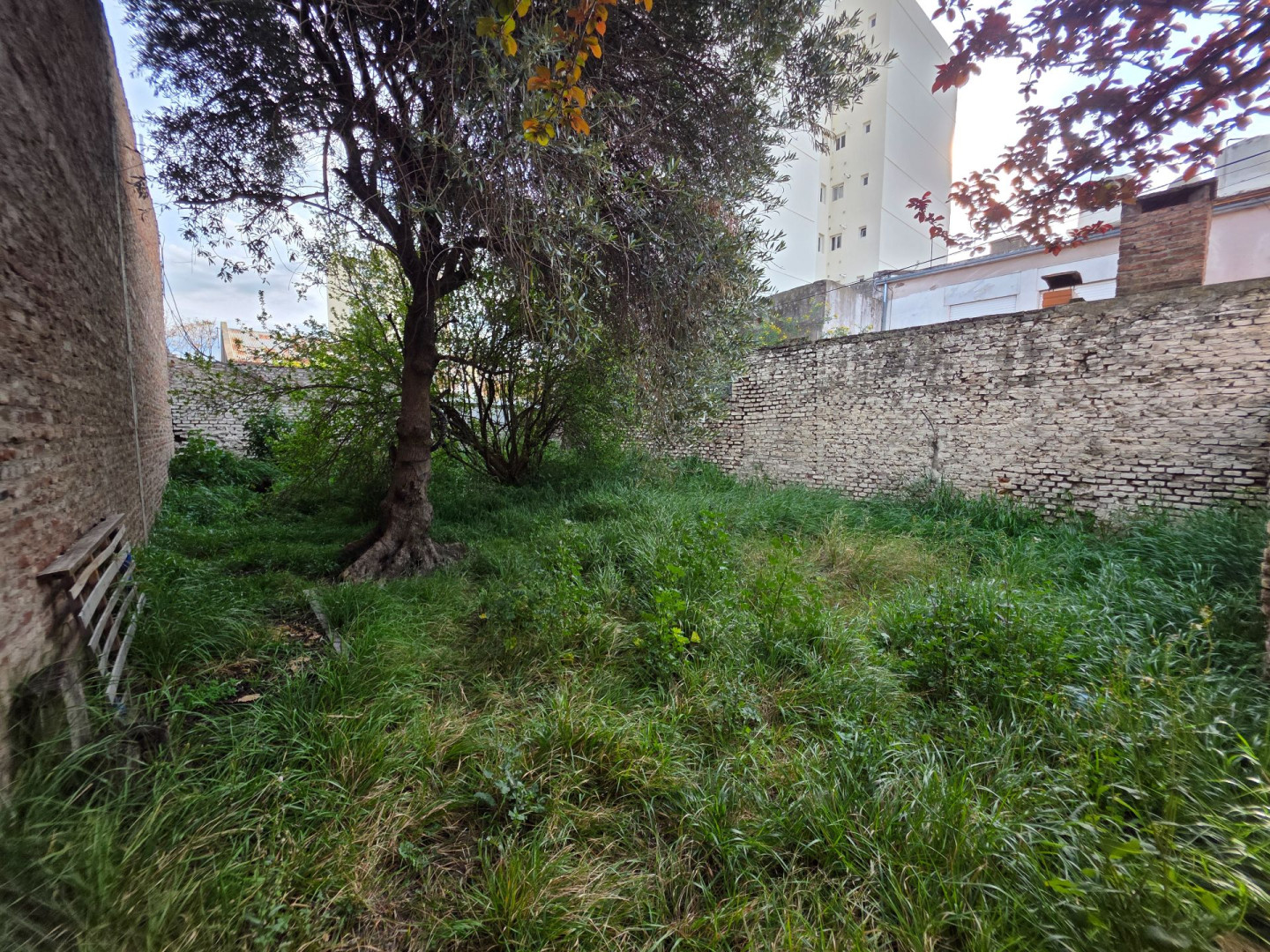 Terreno en Venta en Saavedra 439, Centro, Bahía Blanca - Bahía Blanca Propiedades | SITIO OFICIAL l