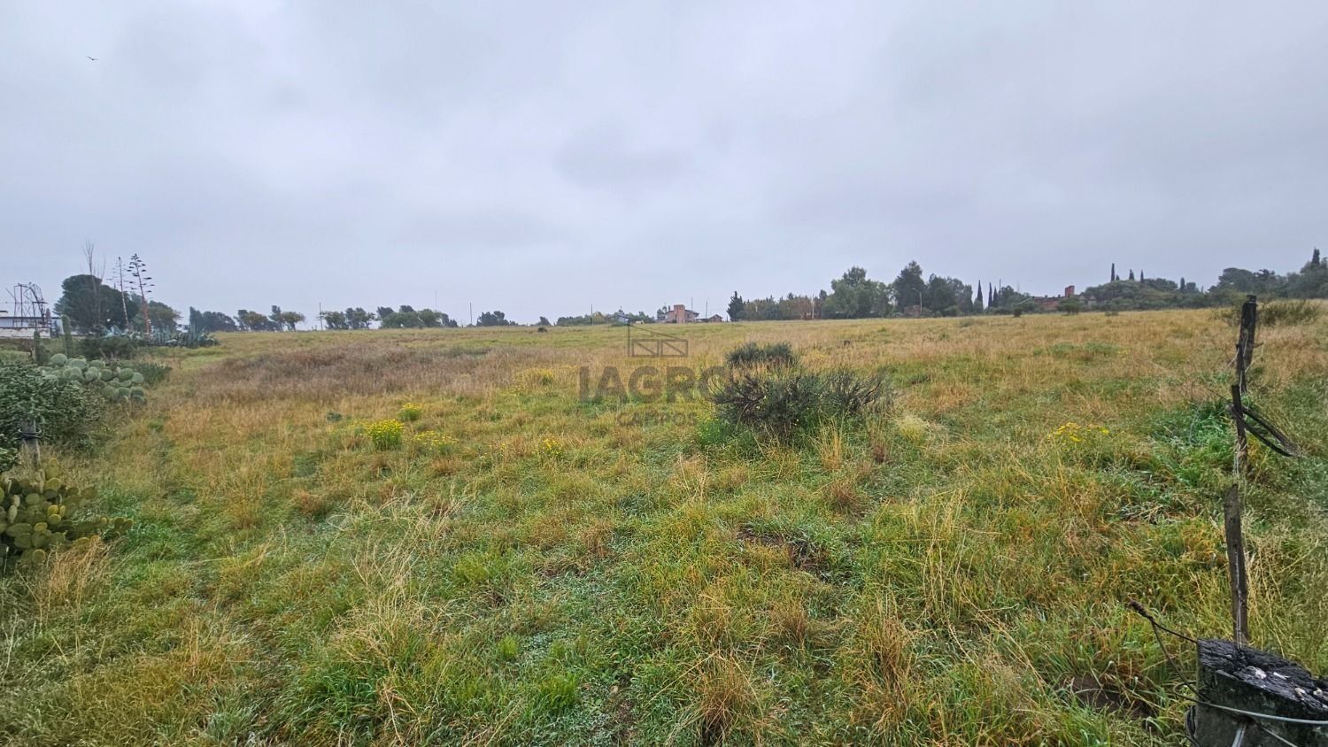 Terreno en Venta en Rigamonti Y Salvo, Villa Belgrano, Bahía Blanca - Bahía Blanca Propiedades | SITIO OFICIAL l