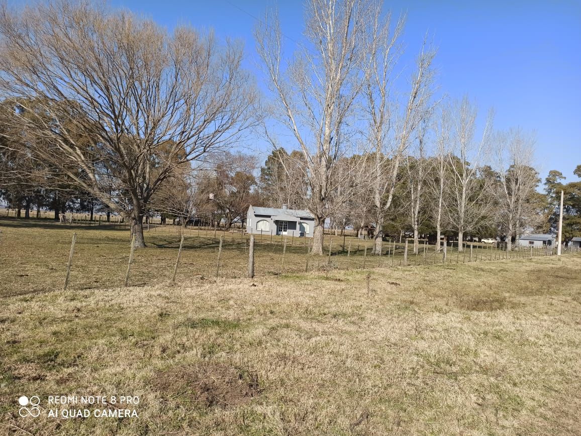 Campo  en Venta - Bahía Blanca Propiedades | SITIO OFICIAL l