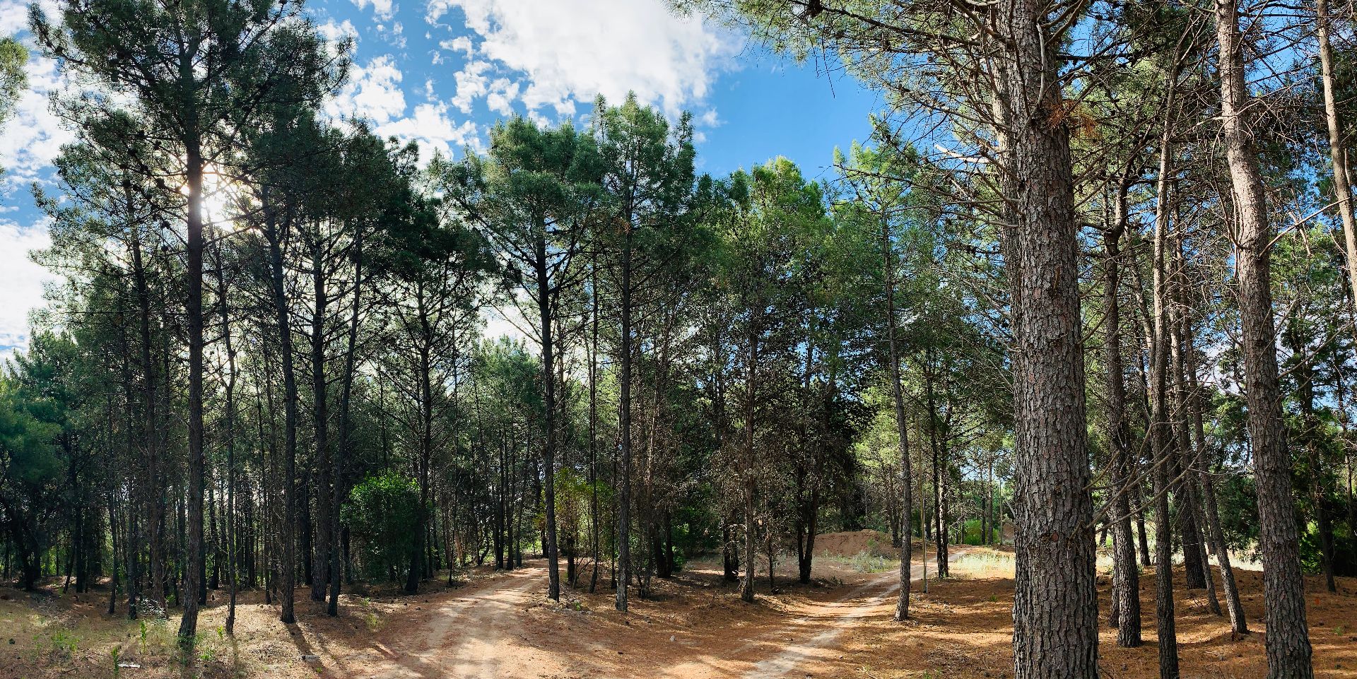 Terreno en Venta en Pinar Del Golf,  Monte Hermoso - Bahía Blanca Propiedades | SITIO OFICIAL l