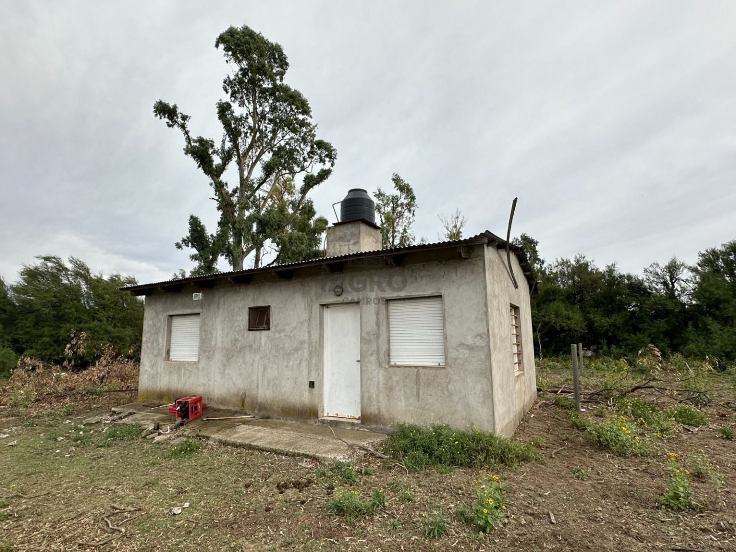 Campo  en Venta en Ruta 3,  Bahía Blanca - Bahía Blanca Propiedades | SITIO OFICIAL l