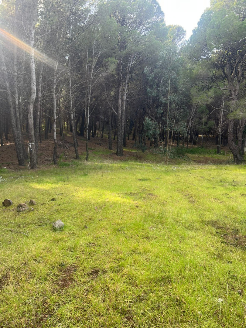 Terreno en Venta en Walich 50,  Pehuen Co - Bahía Blanca Propiedades | SITIO OFICIAL l
