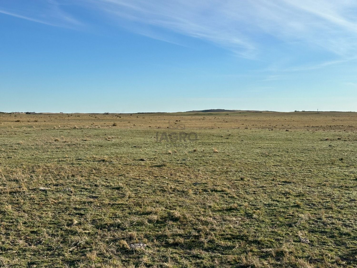 Campo  en Venta en Partido De Villarino,  Villarino - Bahía Blanca Propiedades | SITIO OFICIAL l