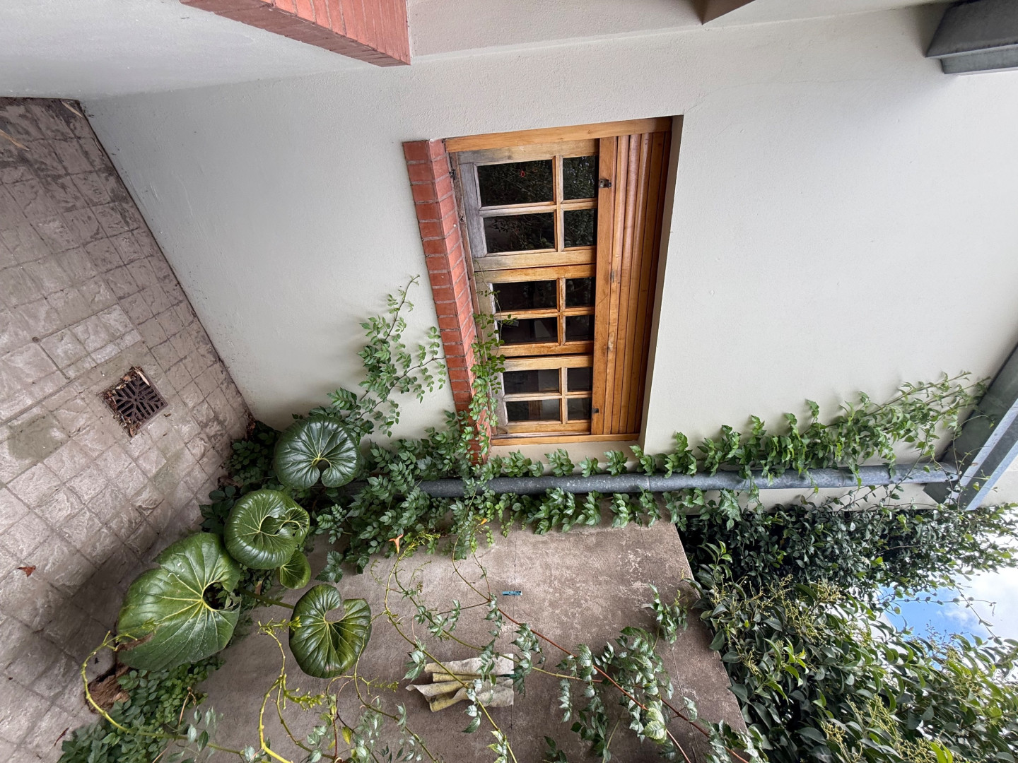 Casa en Venta en Agustín Álvarez 2176, Santa Margarita, Bahía Blanca - Bahía Blanca Propiedades | SITIO OFICIAL l