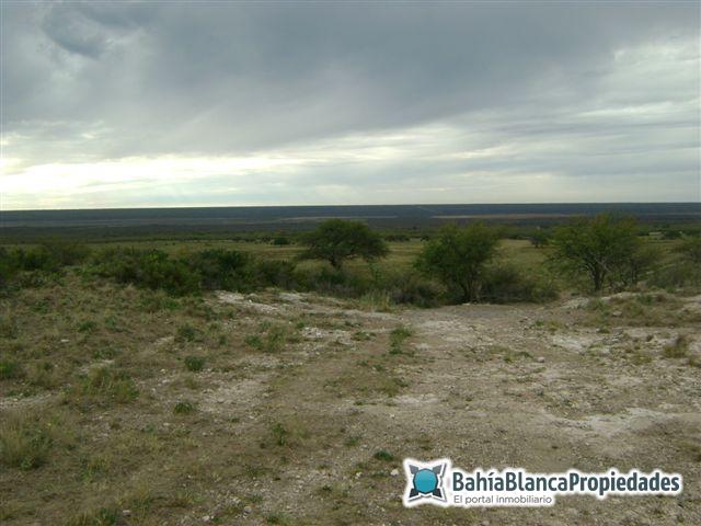 Campo  en Venta en ALGARROBO,  Villarino - Bahía Blanca Propiedades | SITIO OFICIAL l