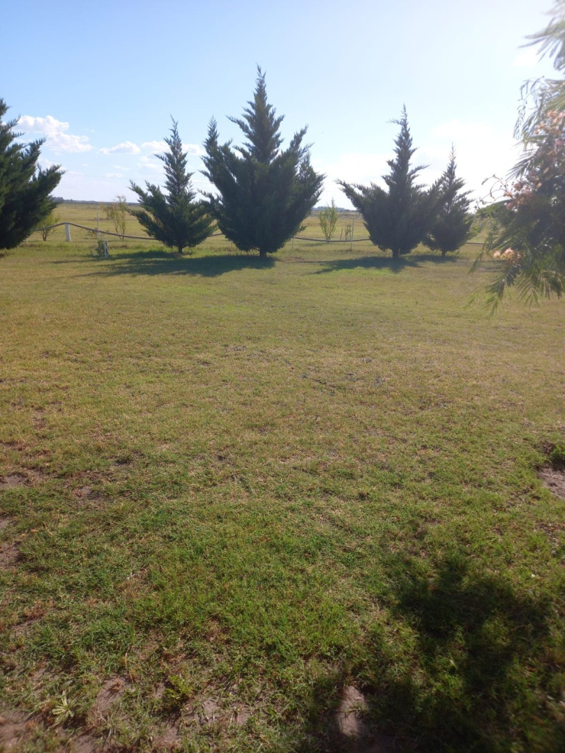 Casaquinta en Venta en Sector Rural,  Punta Alta - Bahía Blanca Propiedades | SITIO OFICIAL l
