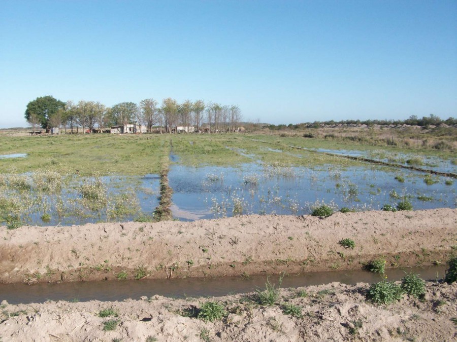 Campo  en Venta en Carmen De Patagones,  Carmen de Patagones - Bahía Blanca Propiedades | SITIO OFICIAL l