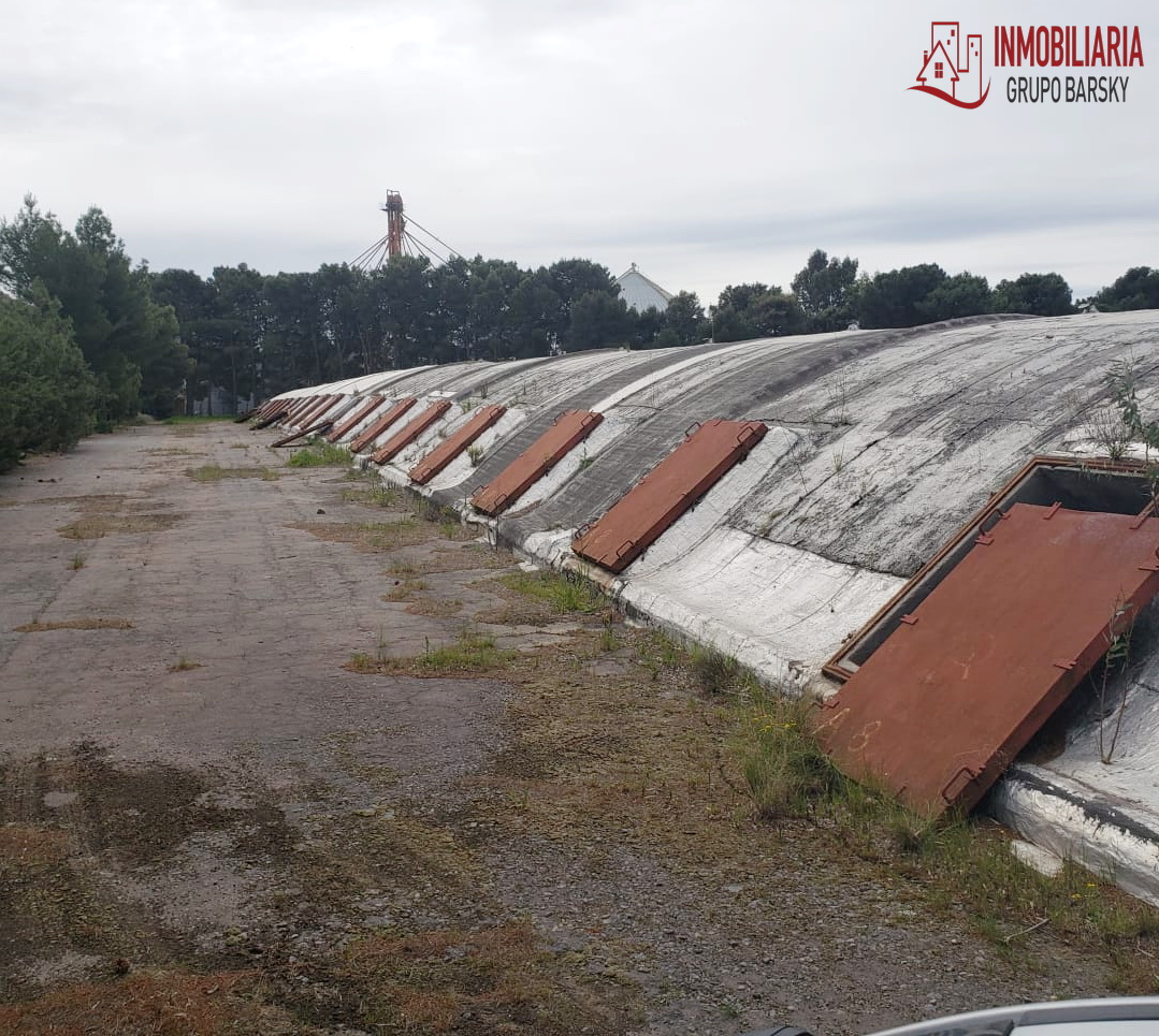 Campo  en Venta   Coronel Dorrego - Bahía Blanca Propiedades | SITIO OFICIAL l