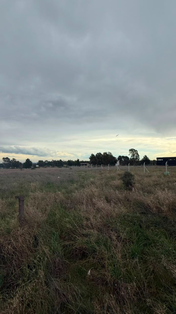 Terreno en Venta en Ernesto Che Guevara De La Serna 4108, Villa Belgrano, Bahía Blanca - Bahía Blanca Propiedades | SITIO OFICIAL l