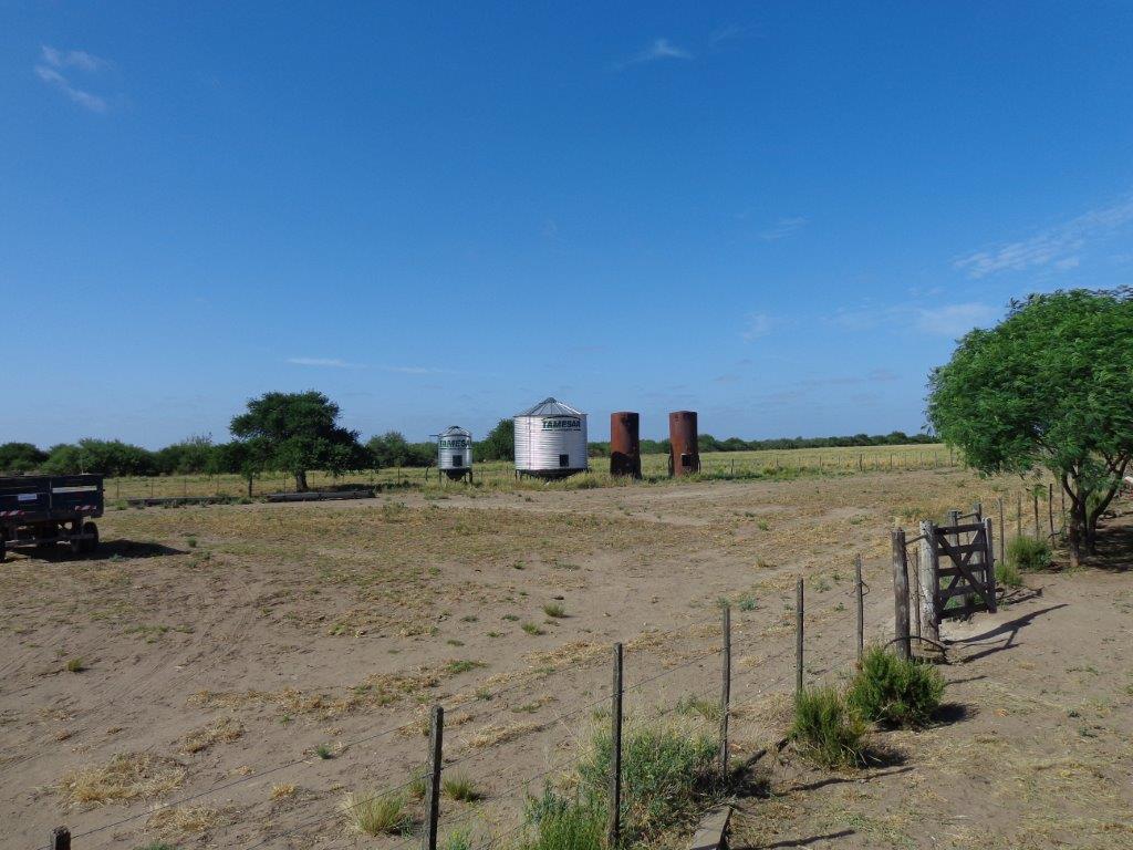 Campo  en Venta en Algarrobo Buenos Aires,  Algarrobo - Bahía Blanca Propiedades | SITIO OFICIAL l