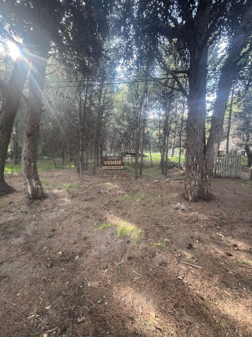 Terreno en Venta en Walich 50,  Pehuen Co - Bahía Blanca Propiedades | SITIO OFICIAL l
