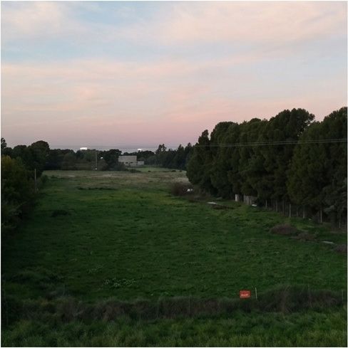 Terreno en Venta en Luis Vera 1330 , Los Muñecos, Bahía Blanca - Bahía Blanca Propiedades | SITIO OFICIAL l
