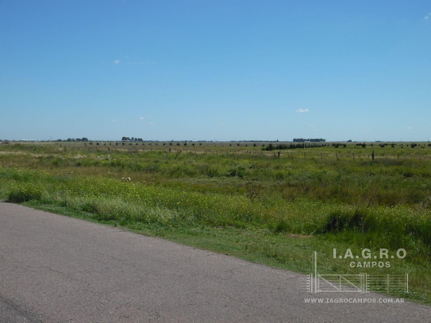 Campo  en Venta en Ruta 3,  Bahía Blanca - Bahía Blanca Propiedades | SITIO OFICIAL l