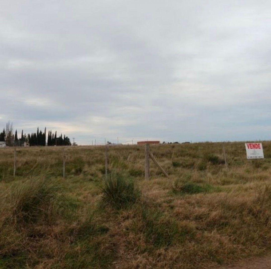 Terreno en Venta en Matheu Y Elias,  Bahía Blanca - Bahía Blanca Propiedades | SITIO OFICIAL l
