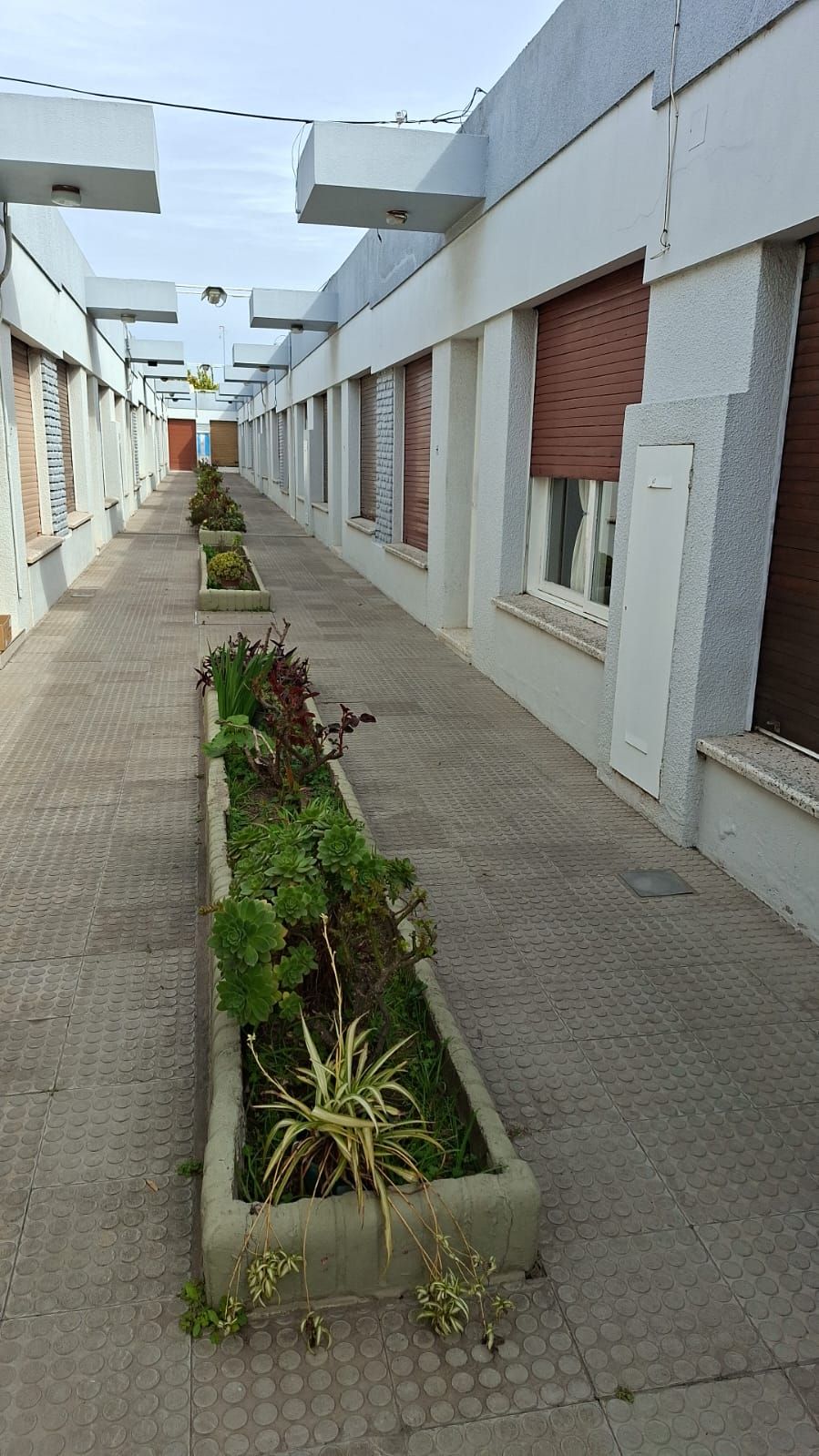 Departamento en Venta en Italia 1069, Pedro Pico, Bahía Blanca - Bahía Blanca Propiedades | SITIO OFICIAL l