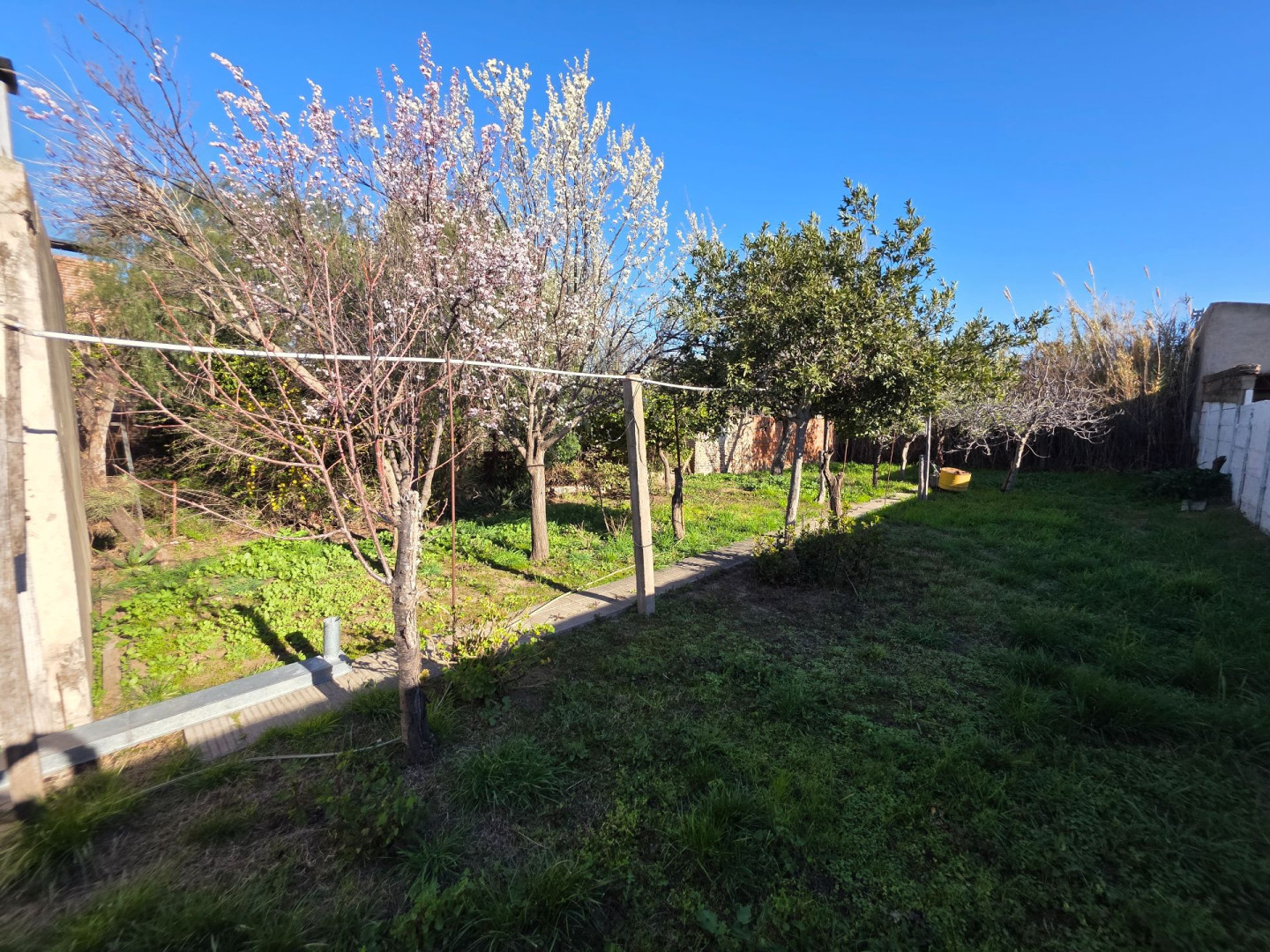 Casa en Venta en Castelli 1444, Pacifico, Bahía Blanca - Bahía Blanca Propiedades | SITIO OFICIAL l
