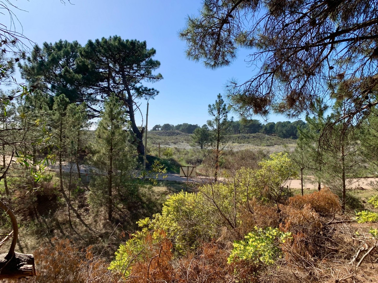 Terreno en Venta en Martinetas, Pinar del Golf, Monte Hermoso - Bahía Blanca Propiedades | SITIO OFICIAL l