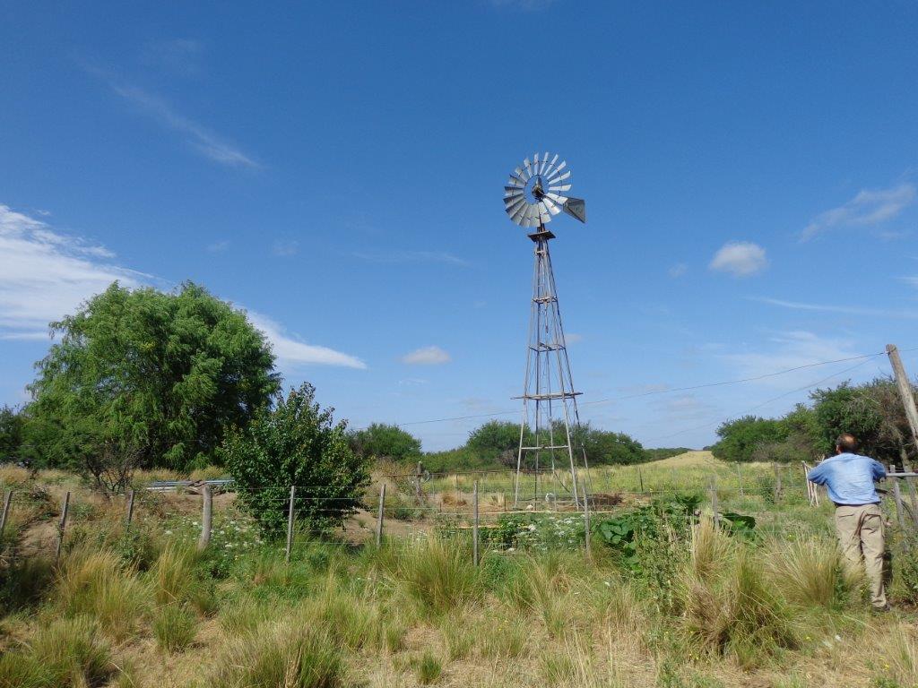 Campo  en Venta en Campo En Algarrobo,  Bahía Blanca - Bahía Blanca Propiedades | SITIO OFICIAL l