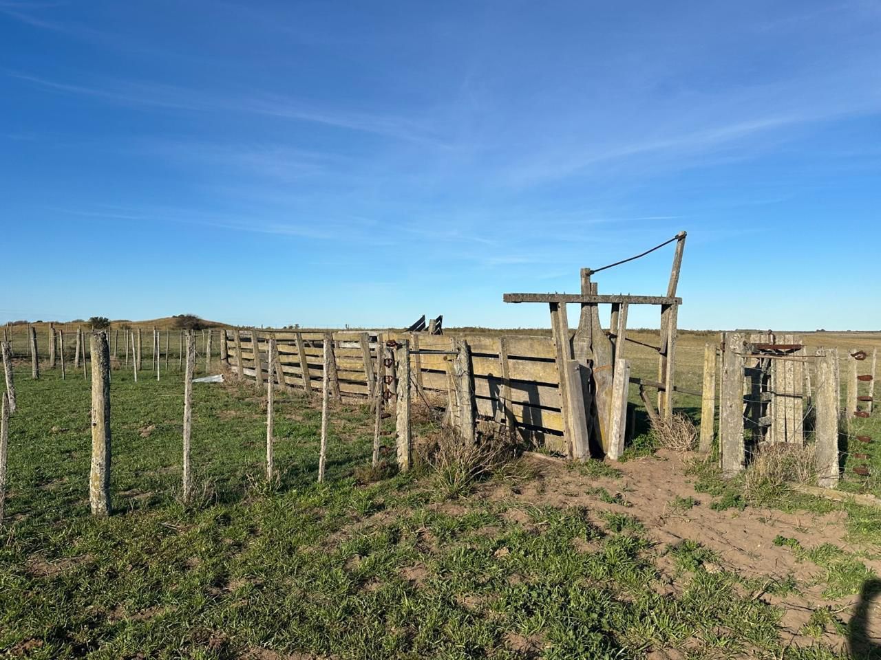 Campo  en Venta en A 4 Kilómetros De La Ruta 3.,  Teniente Origone - Bahía Blanca Propiedades | SITIO OFICIAL l