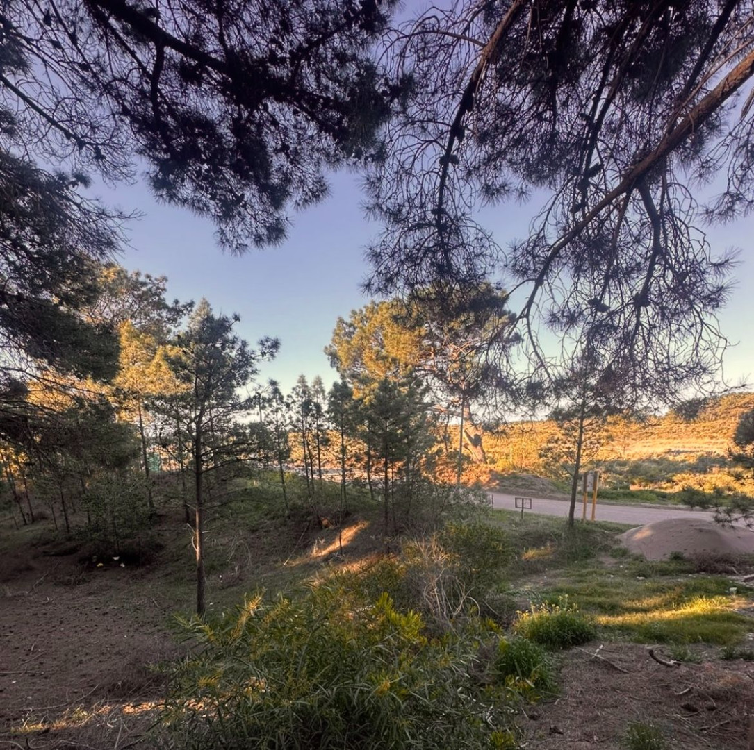 Terreno en Venta en Marinetas, Pinar del Golf, Monte Hermoso - Bahía Blanca Propiedades | SITIO OFICIAL l