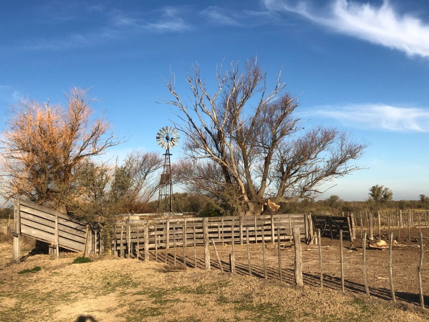 Campo  en Venta en Pradere,  Carmen de Patagones - Bahía Blanca Propiedades | SITIO OFICIAL l