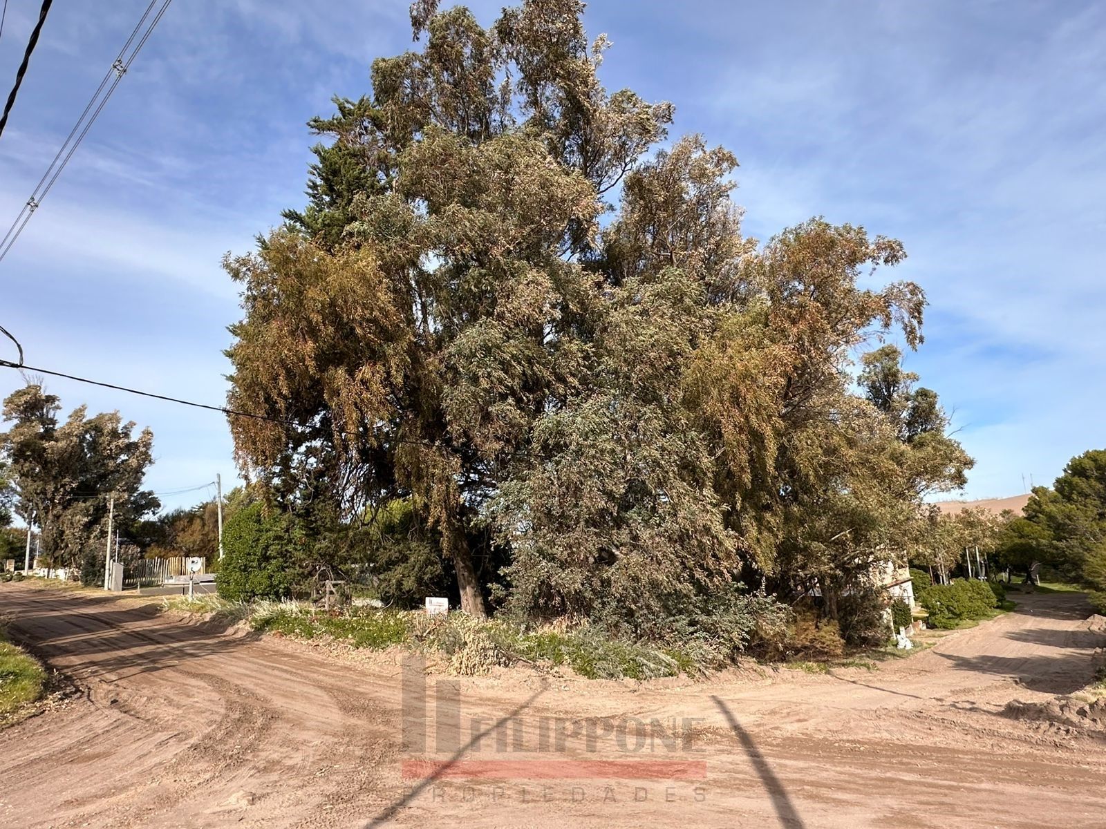 Terreno en Venta en Rodriguez Peña,  Monte Hermoso - Bahía Blanca Propiedades | SITIO OFICIAL l