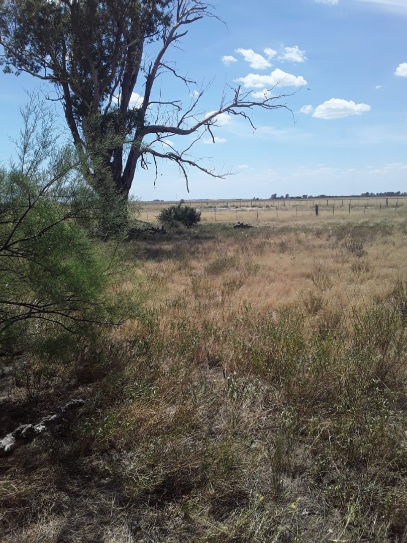 Campo  en Venta   Medanos - Bahía Blanca Propiedades | SITIO OFICIAL l