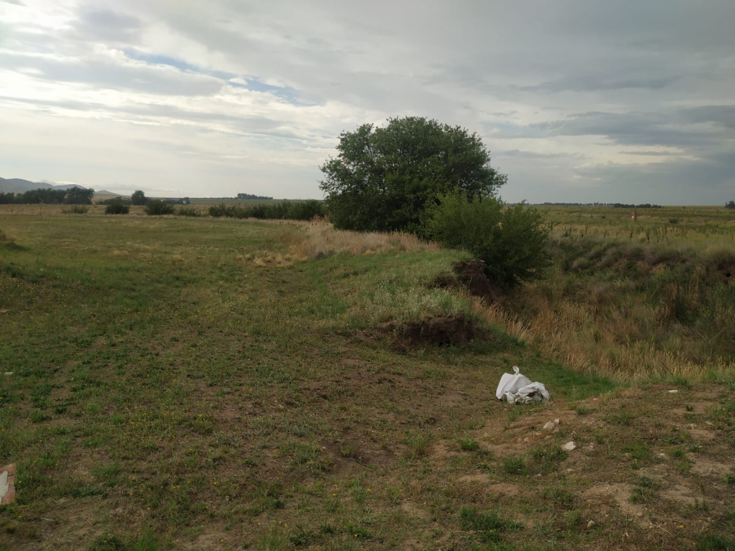 Terreno en Venta  Las Verbenas , Sierra de  la Ventana - Bahía Blanca Propiedades | SITIO OFICIAL l