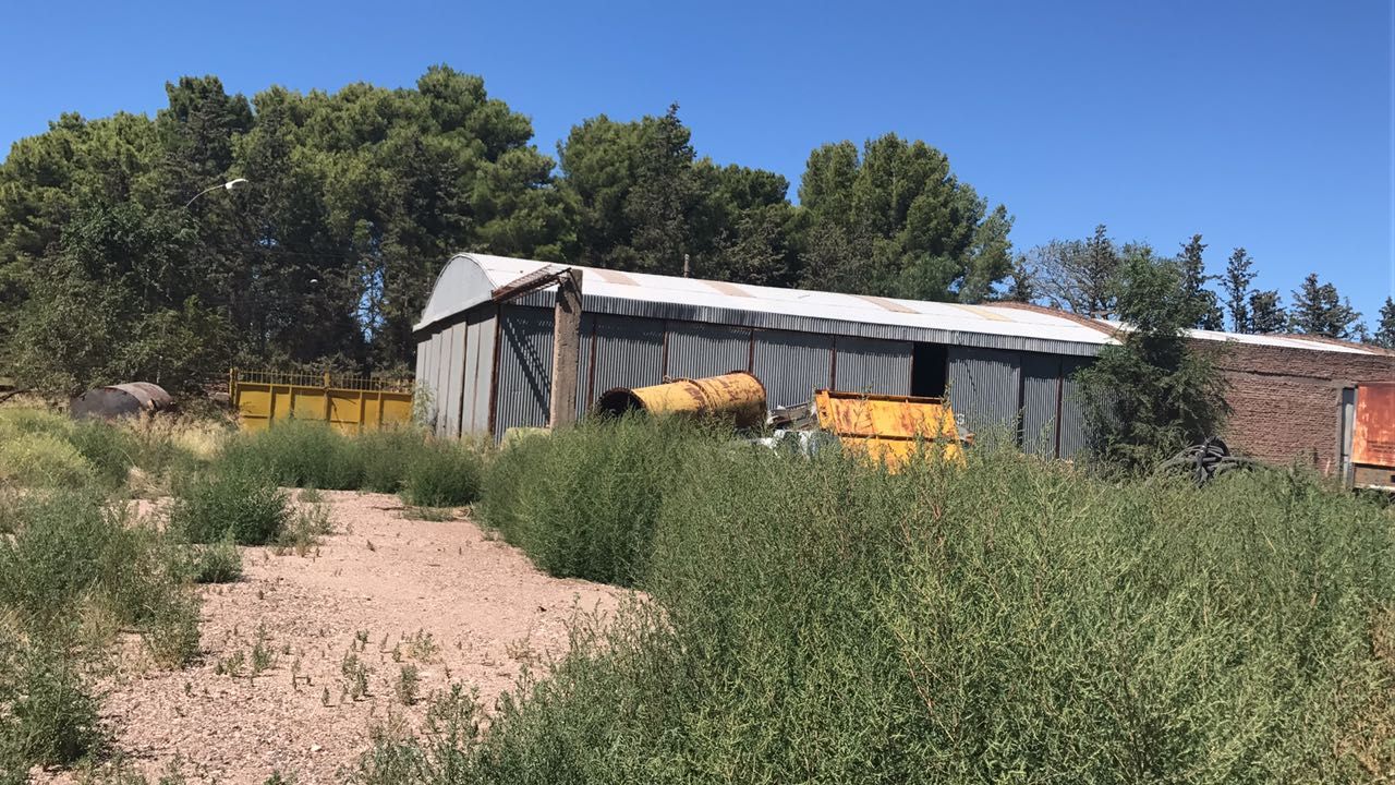 Galpón en Venta en RINCON 4100,  Bahía Blanca - Bahía Blanca Propiedades | SITIO OFICIAL l