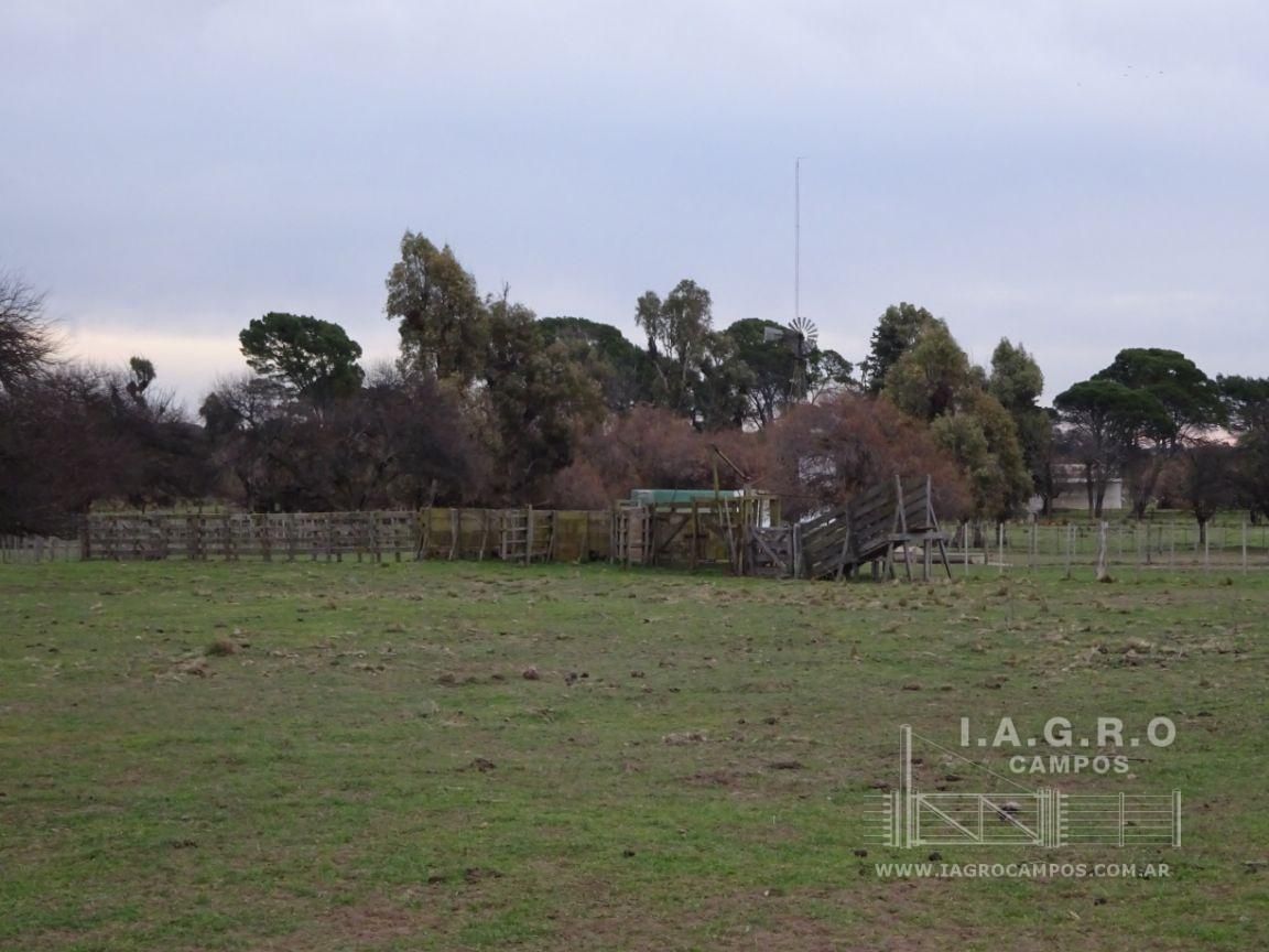 Campo  en Venta en Villarino,  Villarino - Bahía Blanca Propiedades | SITIO OFICIAL l