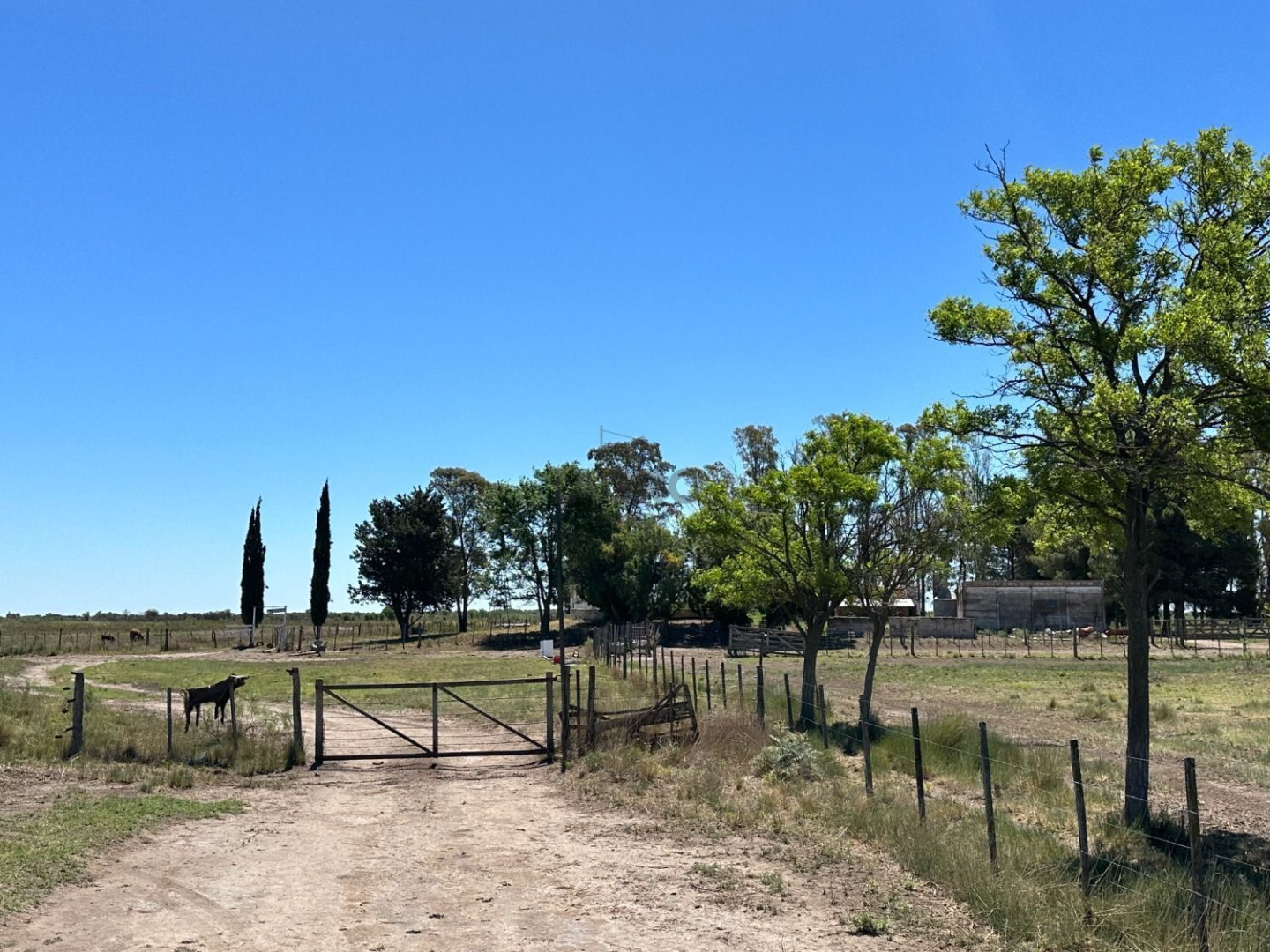 Campo  en Venta en Juan A. Pradere,  Carmen de Patagones - Bahía Blanca Propiedades | SITIO OFICIAL l