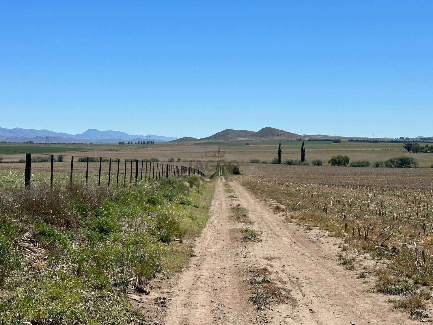 Campo  en Venta en Ruta 72,  Coronel Pringles - Bahía Blanca Propiedades | SITIO OFICIAL l