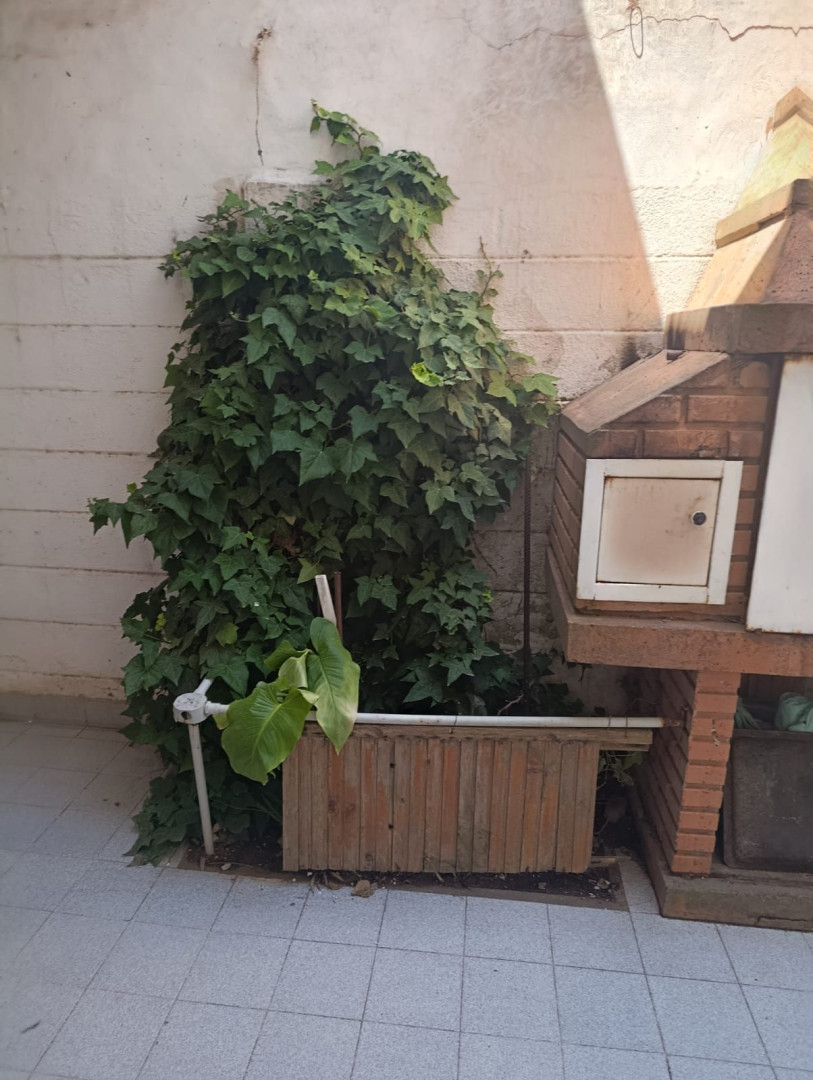 Departamento en Venta en Chascomús N° 911,  Monte Hermoso - Bahía Blanca Propiedades | SITIO OFICIAL l