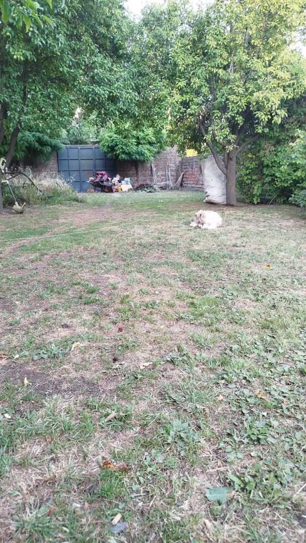 Terreno en Venta en Av. 25 De Mayo 1460 ,  Coronel Pringles - Bahía Blanca Propiedades | SITIO OFICIAL l