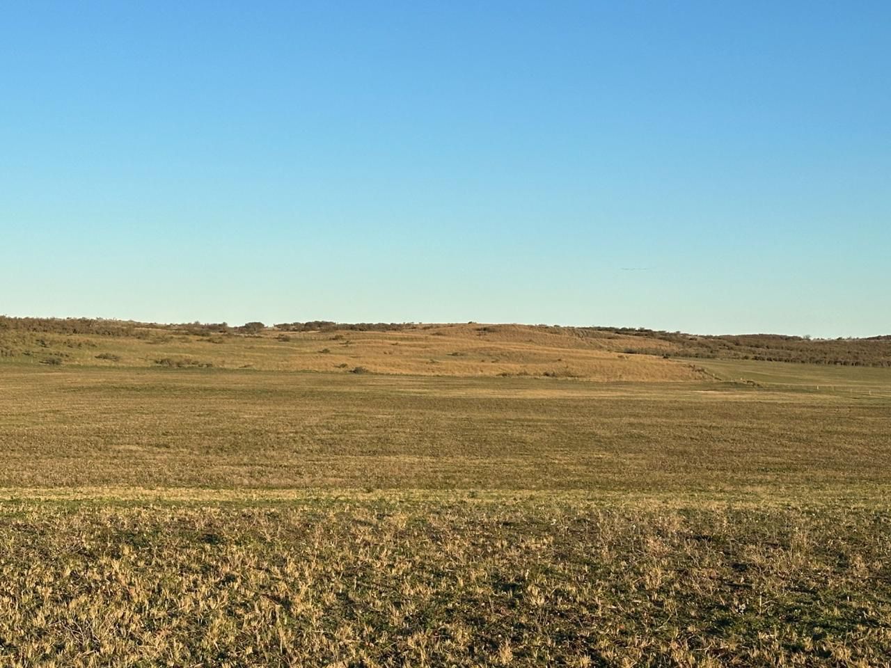 Campo  en Venta en A 4 Kilómetros De La Ruta 3.,  Teniente Origone - Bahía Blanca Propiedades | SITIO OFICIAL l