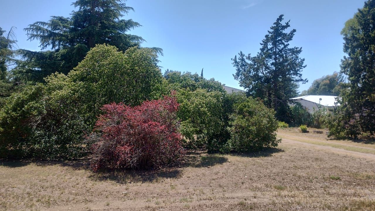 Casaquinta en Venta   Chasico - Bahía Blanca Propiedades | SITIO OFICIAL l