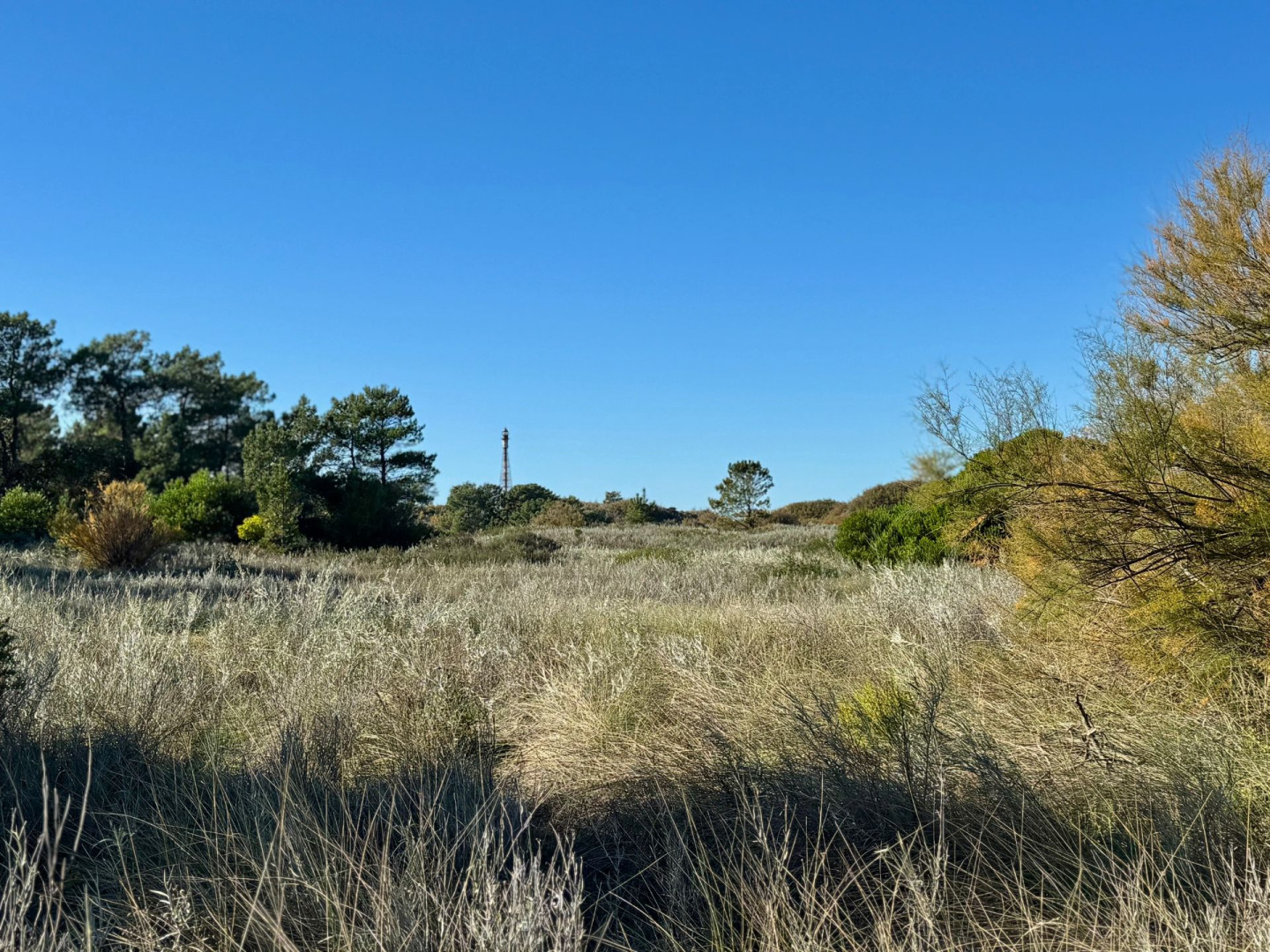 Terreno en Venta en Flamencos Y Martinetas, Monte del Este, Monte Hermoso - Bahía Blanca Propiedades | SITIO OFICIAL l