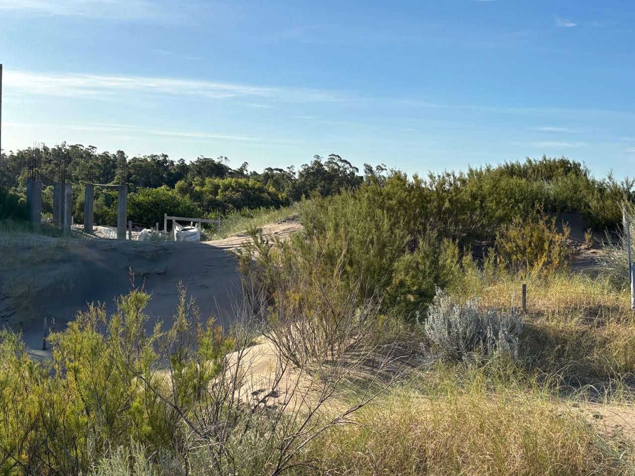 Terreno en Venta en Sauce Grande, El Sauce, Monte Hermoso - Bahía Blanca Propiedades | SITIO OFICIAL l