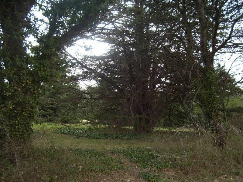 Terreno en Venta en Curamalal,  Villa Ventana - Bahía Blanca Propiedades | SITIO OFICIAL l
