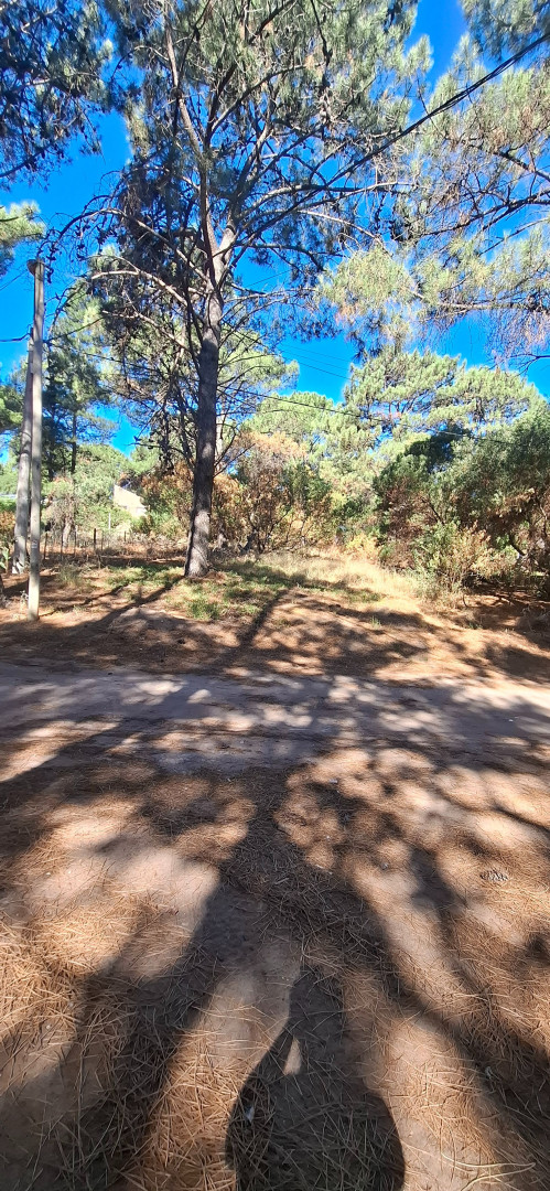 Terreno en Venta en Del Cazon, Las Dunas, Monte Hermoso - Bahía Blanca Propiedades | SITIO OFICIAL l