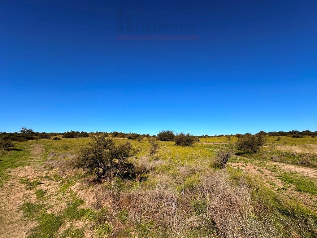 Campo  en Venta en Ruta 35 - Bahía Blanca Propiedades | SITIO OFICIAL l