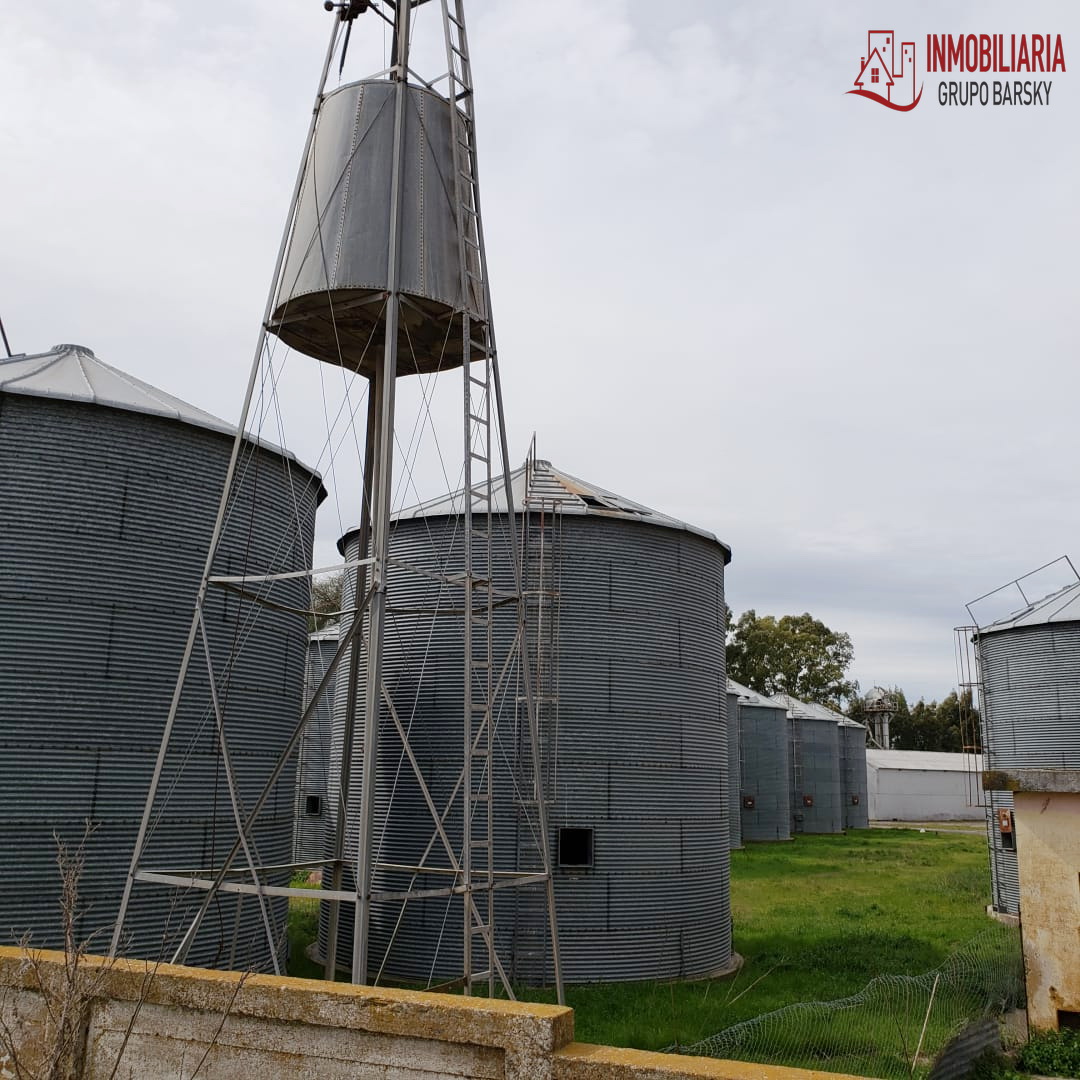 Campo  en Venta   Coronel Dorrego - Bahía Blanca Propiedades | SITIO OFICIAL l