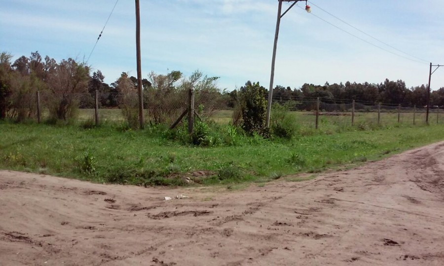 Campo  en Venta en Ciudad De Miramar,  Miramar - Bahía Blanca Propiedades | SITIO OFICIAL l