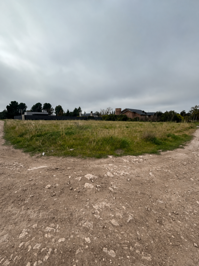 Terreno en Venta en BRIGADIER ESTANISLAO LOPEZ Y NICOLAS TAURO , Paihuen, Bahía Blanca - Bahía Blanca Propiedades | SITIO OFICIAL l