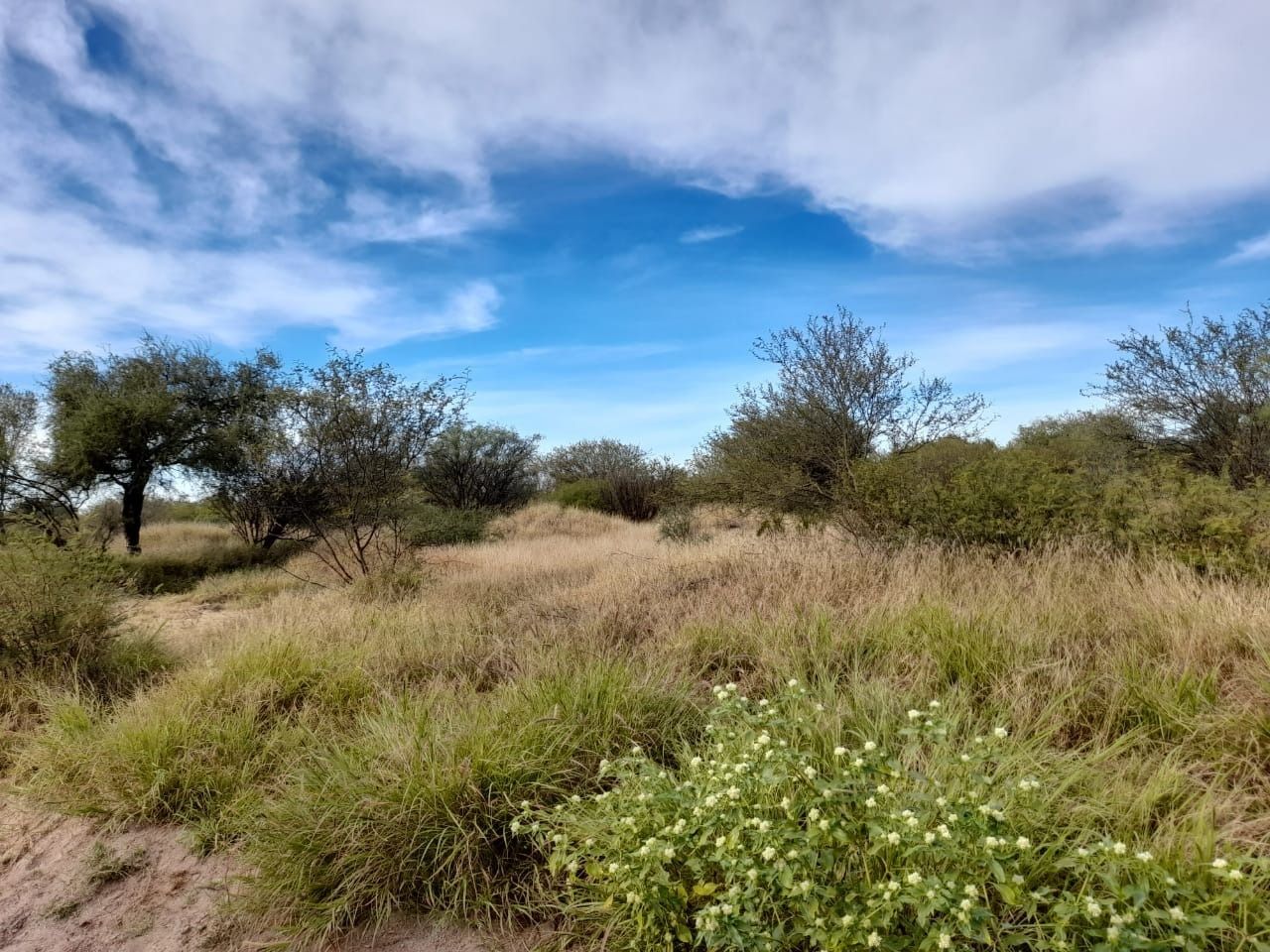 Campo  en Venta en La Rioja ,  La Rioja - Bahía Blanca Propiedades | SITIO OFICIAL l