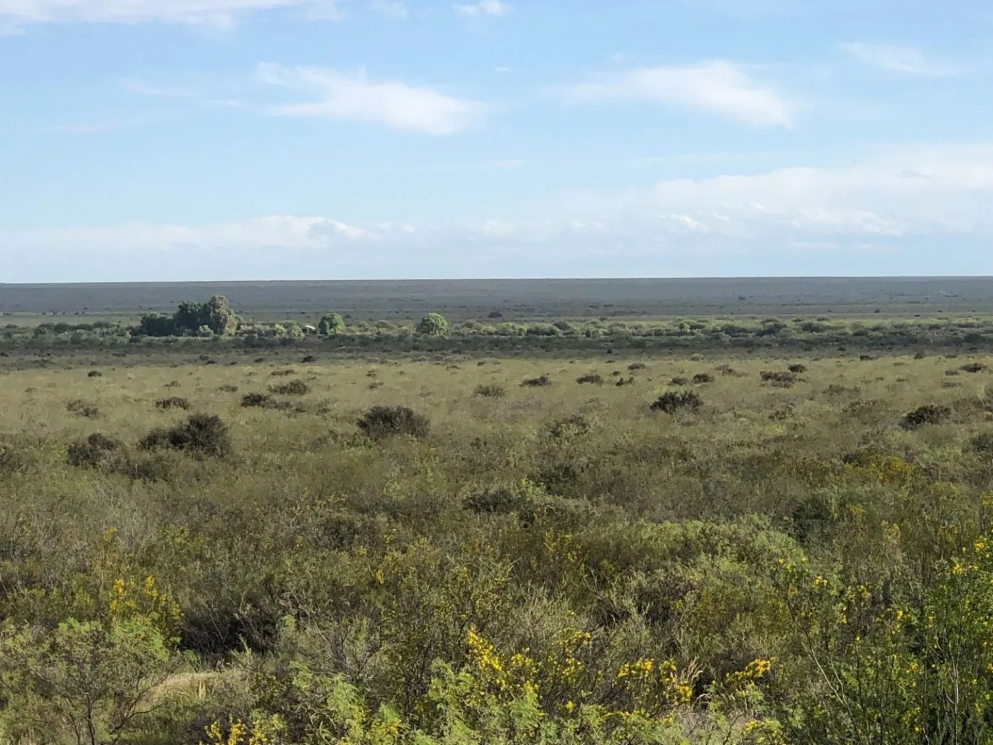 Campo  en Venta en Ruta Provincial 34,  Lihuel Calel - La Pampa - Bahía Blanca Propiedades | SITIO OFICIAL l