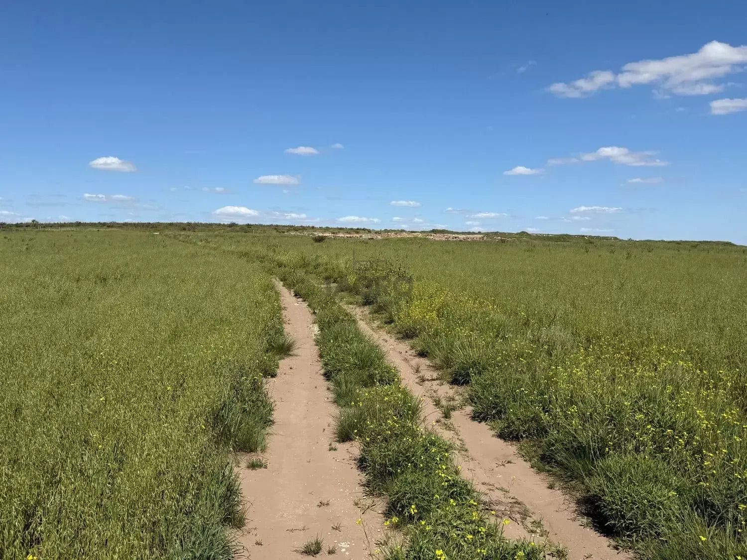 Campo  en Venta en Camino Parque Sesquicentenario,  Bahía Blanca - Bahía Blanca Propiedades | SITIO OFICIAL l