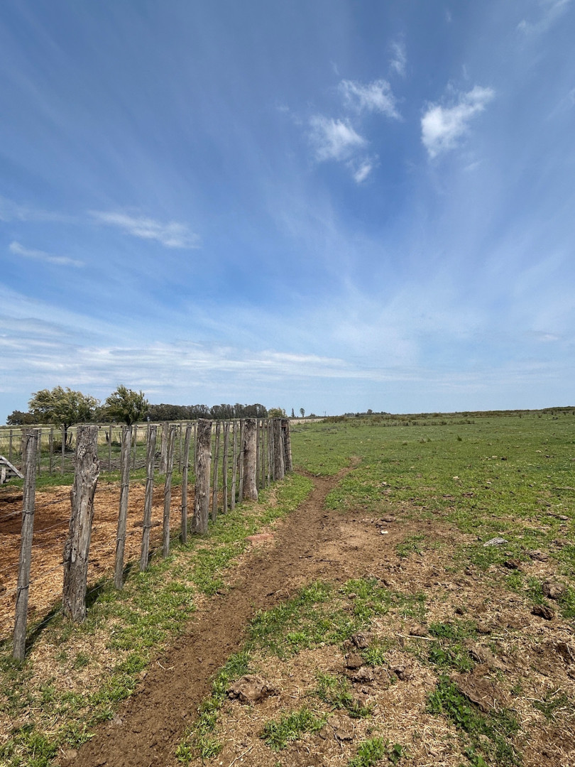 Campo  en Venta en Rio Mayor Buratovich,  Hilario Ascasubi - Bahía Blanca Propiedades | SITIO OFICIAL l