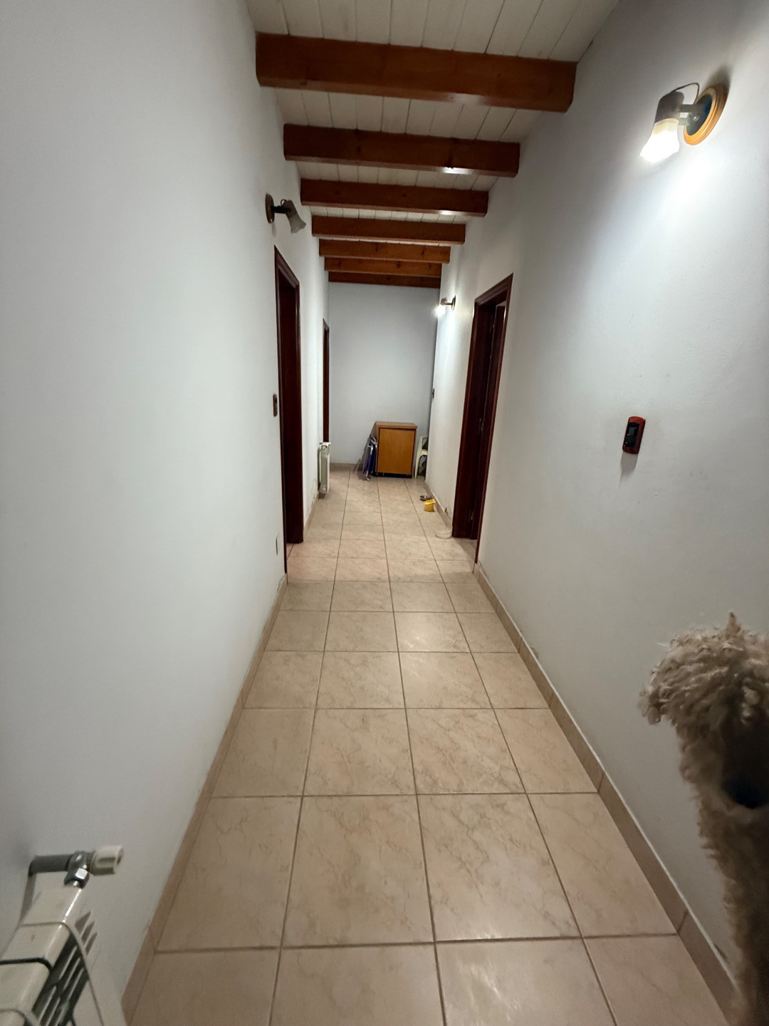 Casa en Venta en Chile 771, Pedro Pico, Bahía Blanca - Bahía Blanca Propiedades | SITIO OFICIAL l